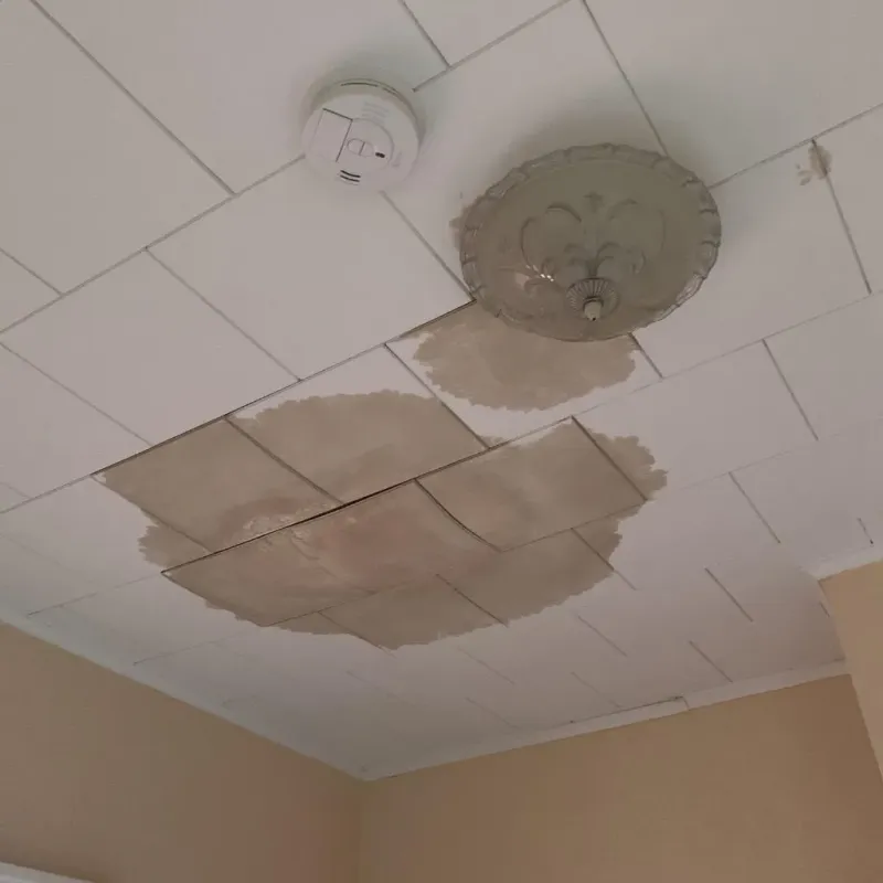 Ceiling Water Damage Repair in Trumansburg, NY