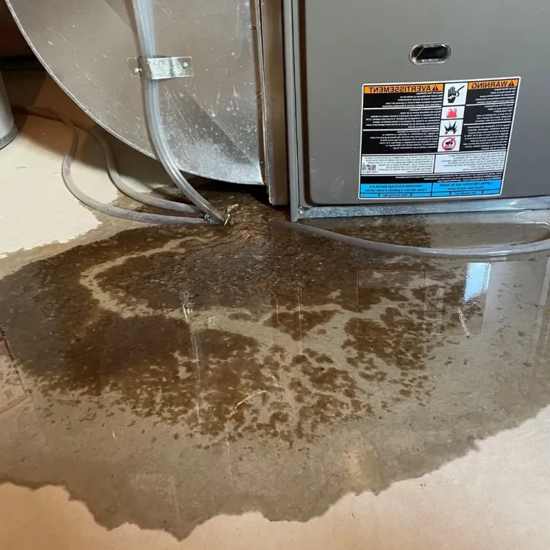 Pipe Burst and Leak Restoration in Trumansburg, NY